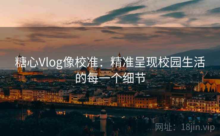 糖心Vlog像校准：精准呈现校园生活的每一个细节  第2张