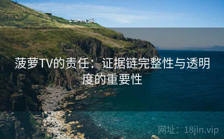菠萝TV的责任:证据链完整性与透明度的重要性