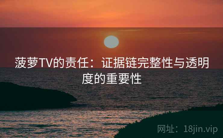 菠萝TV的责任:证据链完整性与透明度的重要性