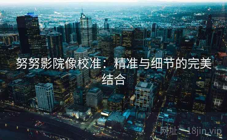 努努影院像校准：精准与细节的完美结合